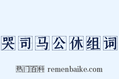 哭司马公休组词是什么意思的图片